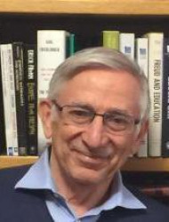 Shaul Hochstein