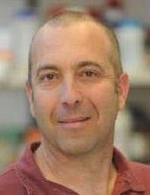 Ehud Cohen